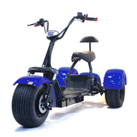 ES1003 1000W 60V 12AH Battery Tricycle Electric Motorcycle