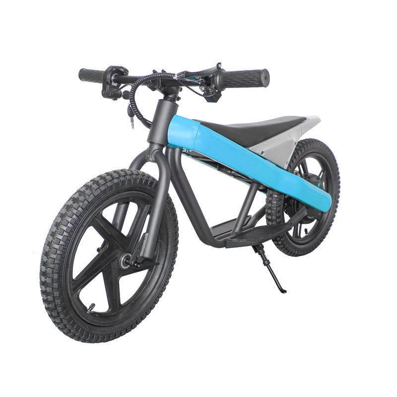 ET-01 300W 24V 6AH Battery Citycoco Electric Scooter 2 Wheel Bicycle