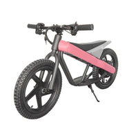 ET-01 300W 24V 6AH Battery Citycoco Electric Scooter 2 Wheel Bicycle