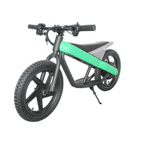 ET-01 300W 24V 6AH Battery Citycoco Electric Scooter 2 Wheel Bicycle