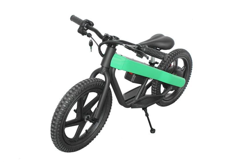 ET-02 300W 24V 6AH Battery Citycoco Electric Scooter 2 Wheel