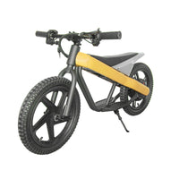 ET-01 300W 24V 6AH Battery Citycoco Electric Scooter 2 Wheel Bicycle