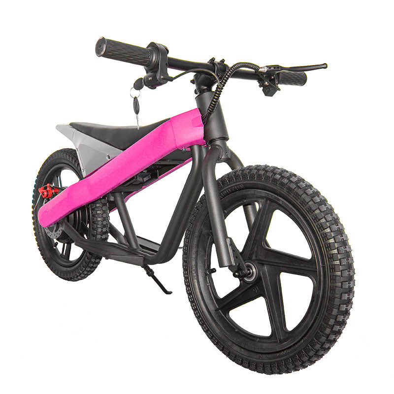 ET-01 300W 24V 6AH Battery Citycoco Electric Scooter 2 Wheel Bicycle