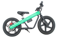 ET-02 300W 24V 6AH Battery Citycoco Electric Scooter 2 Wheel