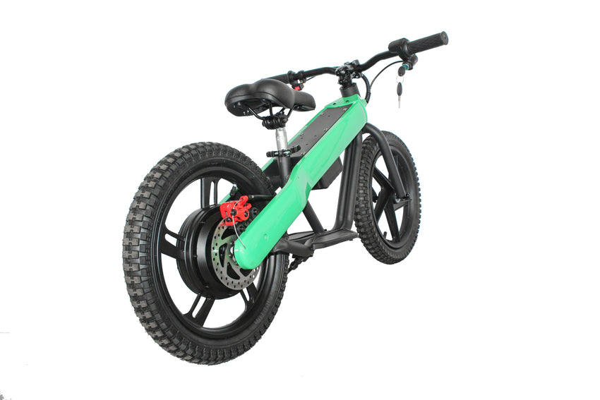 ET-02 300W 24V 6AH Battery Citycoco Electric Scooter 2 Wheel