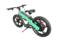 ET-02 300W 24V 6AH Battery Citycoco Electric Scooter 2 Wheel