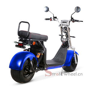 CP-1.8 Electric Scooter Citycoo 1500W Motor 60V 12AH Battery