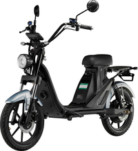 LUQI Q4 1000W 48V 25AH Battery Electric Citycoco Scooter