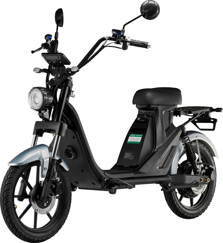 LUQI Q4 1000W 48V 25AH Battery Electric Citycoco Scooter