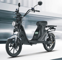 LUQI Q4 1000W 48V 25AH Battery Electric Citycoco Scooter