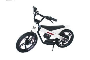 ET-01 Max 300W 24V 6AH Battery 2 Wheel Citycoco Electric Scooter Bicycle