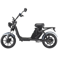 LUQI Q4 1000W 48V 25AH Battery Electric Citycoco Scooter