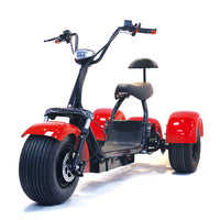 ES1003 1000W 60V 12AH Battery Tricycle Electric Motorcycle