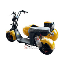 ES1003 Max 1000W Motor 60V 12AH Battery Electric tricycle With Side Car