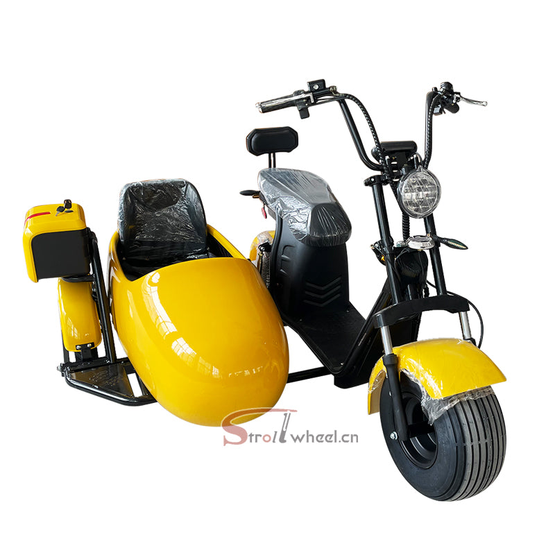 ES1003 Max 1000W Motor 60V 12AH Battery Electric tricycle With Side Car