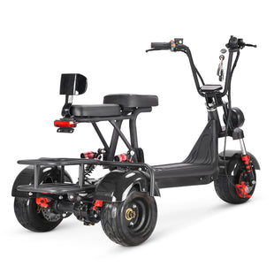 MINI-5 800W 48V 12Ah Battery Citycoco Scooter 3 Wheel Motorcycle