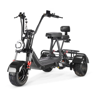 MINI-5 800W 48V 12Ah Battery Citycoco Scooter 3 Wheel Motorcycle