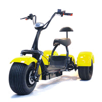 ES1003 1000W 60V 12AH Battery Tricycle Electric Motorcycle