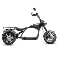 Strollwheel M1P Trike 2000W 60V 45AH Citycoco Electric Tricycle