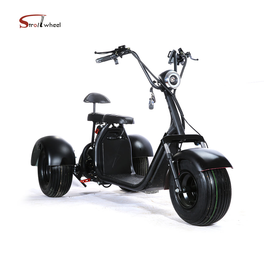 ES1003 1500W 60V 12AH Battery Tricycle Citycoco Motorcycle Scooter 3 Wheel