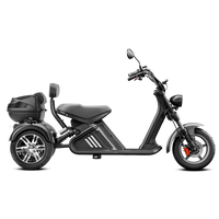 M2 Trike 2000W 60V 40AH Strollwhee Electric Tricycle Citycoco ship from US