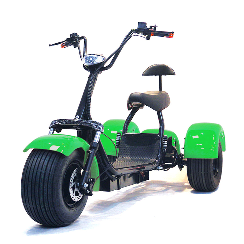 ES1003 1000W 60V 12AH Battery Tricycle Electric Motorcycle