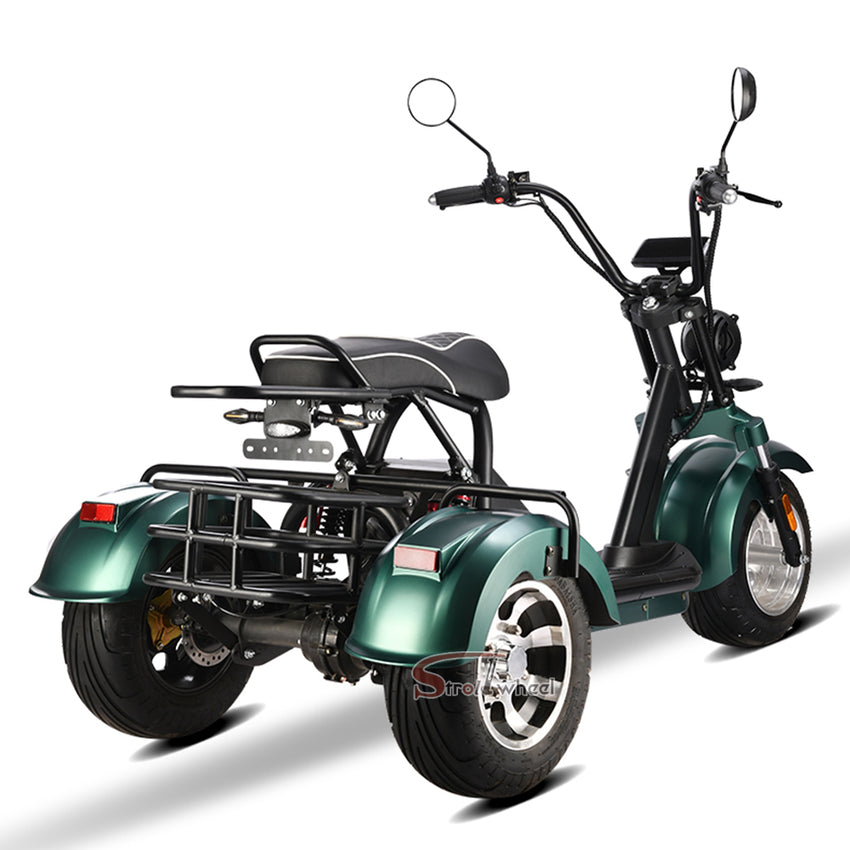 HM-3 2000W Motor 60V 20AH Battery Electric Tricycle Citycoco