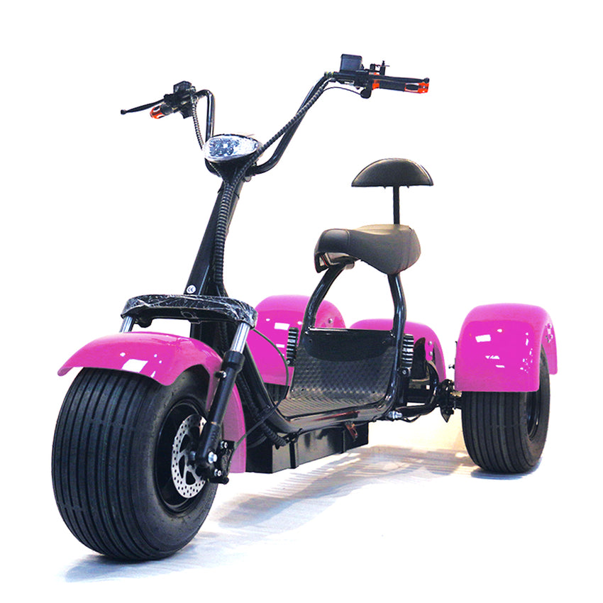 ES1003 1000W 60V 12AH Battery Tricycle Electric Motorcycle