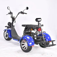 CP-3.0 Golf 2000W 60V 2*12AH Battery 3 Wheel Citycoco Golf Scooter