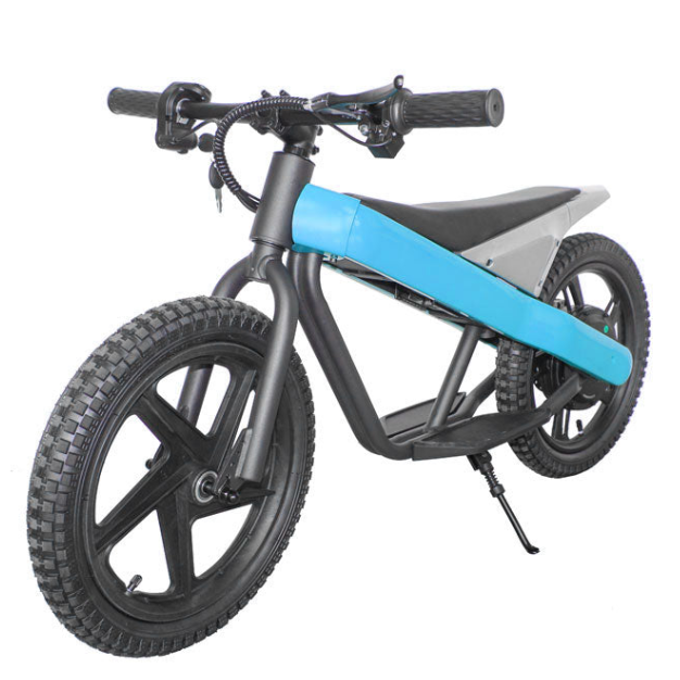 ET-01 300W 24V 6AH Battery Citycoco Electric Scooter 2 Wheel Bicycle