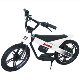 ET-01 Max 300W 24V 6AH Battery 2 Wheel Citycoco Electric Scooter Bicycle