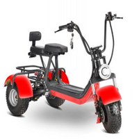 MINI-6 800W 48V 12AH Battery Tricycle Mini Coco Off Road Tire