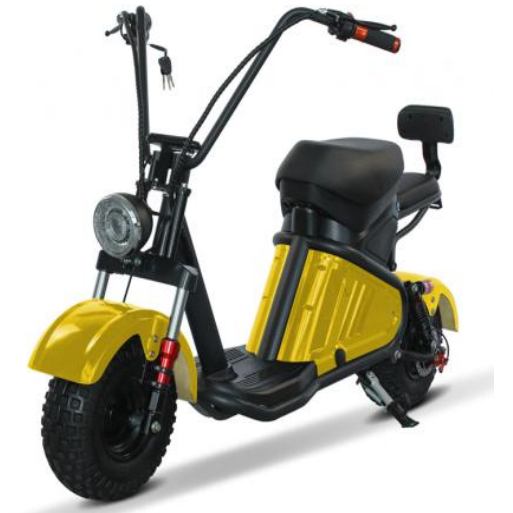 MINI-M2 800W 48V 12AH Battery Citycoco Mini Scooter Motorcycle