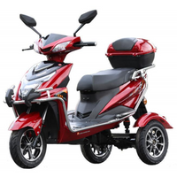 T3-12 600W 60V 20AH Battery 3 Wheel Motorcycle Electric Mobility Scooter