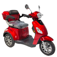 T3-6 650W 60V 20AH Battery Electric Mobility Scooter