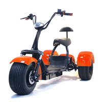 ES1003 1000W 60V 12AH Battery Tricycle Electric Motorcycle