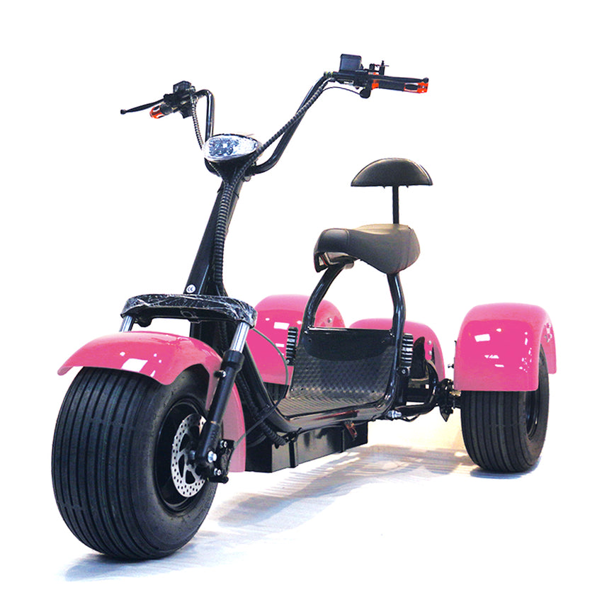 ES1003 1000W 60V 12AH Battery Tricycle Electric Motorcycle