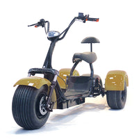 ES1003 1000W 60V 12AH Battery Tricycle Electric Motorcycle